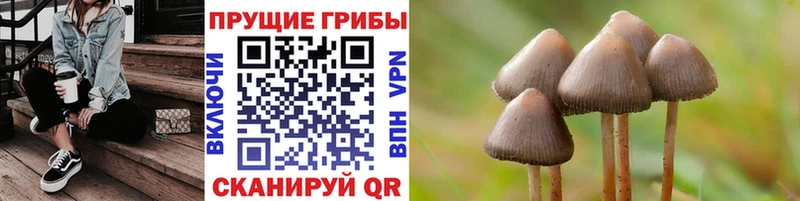 Галлюциногенные грибы мухоморы  Верхоянск 